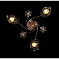 Люстра с плафонами Splendid-Ray 256193(FGD+BR)