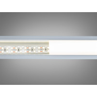 LED стрічка 24в, 240 діодів на метр, 15мм, нейтральний Diasha N24-2835-240-NW-20-15