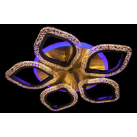 Потолочные светодиодные люстры светильники Linisoln 2522-5SBR