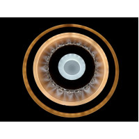 Светильник потолочный светодиодный LED Linisoln 2062