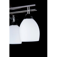 Люстра с плафонами Splendid-Ray 253702(CR+BK)