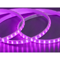 LED стрічка 220в, 120 шт/м, герметична, 10мм, рожевий Diasha P220-2835-120-PINK-65-12