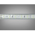LED стрічка 220в, 120 шт/м, герметична, 10мм, блакитний Diasha P220-2835-120-BLUE-65-12