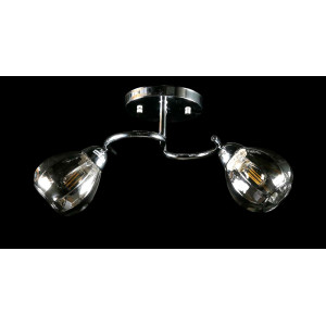 Люстра с плафонами  L8460/2 (CR) Splendid-Ray
234453