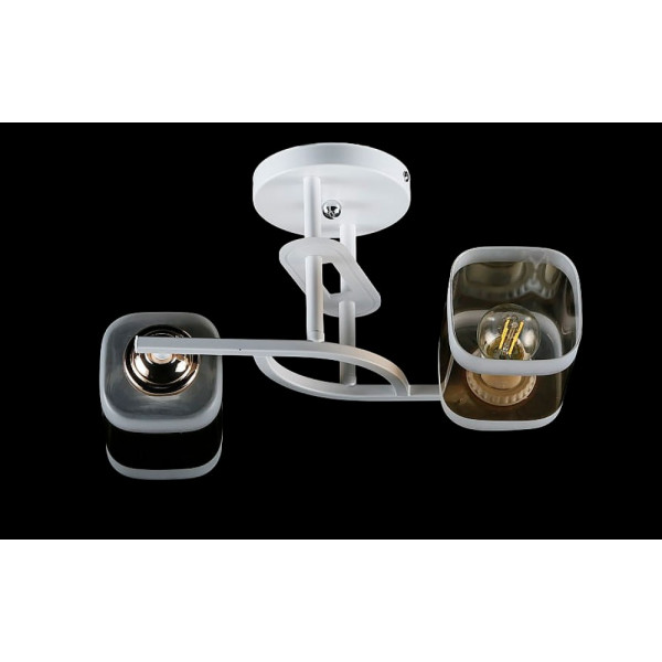 Люстра с плафонами LGH28087-2C (WT+FGD) Splendid-Ray
286350 Люстра с плафонами LGH28087-2C (WT+FGD) Splendid-Ray
286350