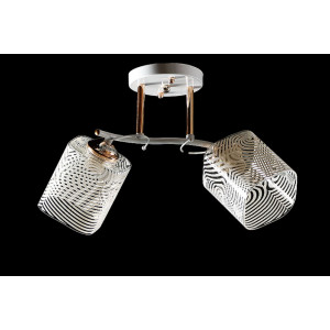 Люстра с плафонами  L6752A/2 (WHI+FGD) Splendid-Ray
260690