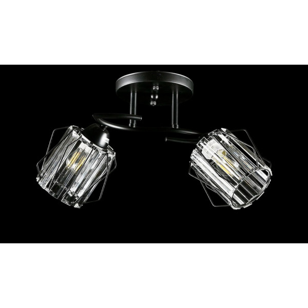 Люстра с плафонами  L8437/2 (BK) Splendid-Ray
234459