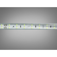 LED стрічка 220в, 288 шт/м, герметична, 10мм, зелений Diasha P220-2835-120-GREEN-65-12