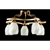 Люстра с плафонами  L28011A/5 Splendid-Ray
211979