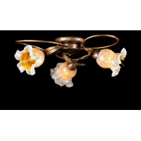 Люстра с плафонами Splendid-Ray L 192350