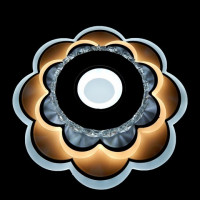 Светильник потолочный светодиодный LED Linisoln 2115