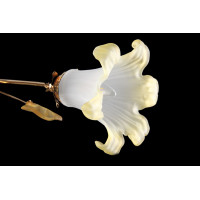 Люстра с плафонами  L9001/6 [GD] Splendid-Ray
998339