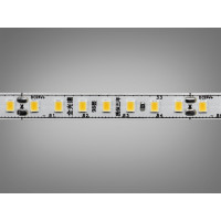 LED стрічка 24В, 140 діодів на метр, 8мм, нейтральний Diasha P24-2835-140-NW-20-8