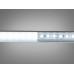 LED стрічка 12в, 120 шт/м, герметична, 8мм, холодний Diasha N12-2835-120-CW-65-8