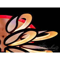 Люстры потолочные светодиодные led с пультом и ночником Diasha 8090/8+4BK LED 3color dimmer