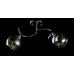 Люстра с плафонами  L2399B/2 (CR+BLK) Splendid-Ray
260786