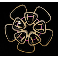 Светодиодная люстра LK109/5+5 LED (CHROME) Splendid-Ray
2850152