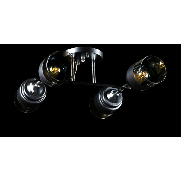 Люстра с плафонами  L91134/4 (BLK+CR) Splendid-Ray
260848