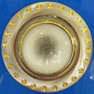 Точечный светильник ZJ1120A R50(с лампочкой) (SNG) Splendid-Ray
145051