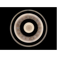 Светильник потолочный светодиодный LED Linisoln 2062