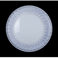 Светодиодная люстра Splendid-Ray1999530/24W*2 LED (WT) 