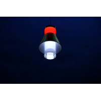 Подвесная люстра  L78052/1 (BL+WT) Splendid-Ray
212104