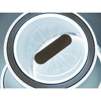 Потолочная люстра  60 Вт Diasha 12291-2