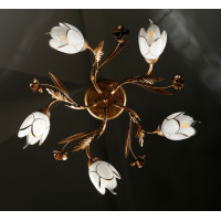 Люстры потолочные с пафоном Splendid-Ray 192422