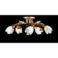 Люстры потолочные с пафоном Splendid-Ray 192422