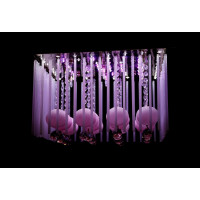 Круглая люстра  L845/9 (FGD) Splendid-Ray
18811231