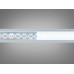 LED стрічка 24в, 300 діодів на метр, 20мм, холодний Diasha N24-2835-300-CW-20-20