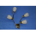 Бра с плафонами B01340D/4 MIX(FGD+CR) Splendid-Ray
18815281