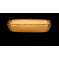 Светодиодная люстра Splendid-Ray 1999520/36W*2 LED (WT) 