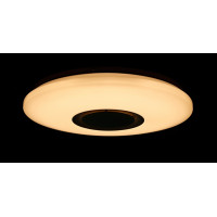 Светодиодная люстра Splendid-Ray 1999538/24W*2 LED+BLUETOOTH (WT)