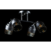 Люстра с плафонами  L91134/4 (BLK+CR) Splendid-Ray
260848
