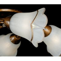 Люстра с плафонами Splendid-Ray 882475