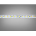 LED стрічка 24в, 120 шт/м, герметична, 8мм, холодний Diasha N24-2835-120-CW-65-8