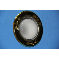 Точечный светильник O-1020 [BK+GD] Splendid-Ray
16996