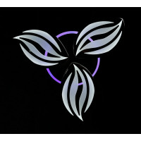 Светодидоная люстра в спальню Splendid-Ray 285091