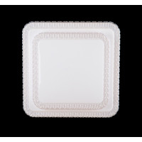 Светодиодная люстра Splendid-Ray1999521/36W*2 LED (WT)