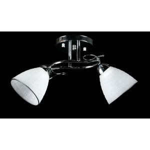 Люстра с плафонами  L8430/2 (CR) Splendid-Ray
234455