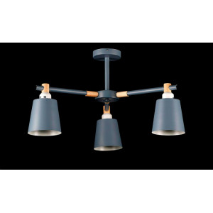 Люстра с плафонами  LH168/3 (GRAY) Splendid-Ray
2489