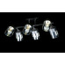 Люстра с плафонами  LGH10312/6 (BK+CR) Splendid-Ray
286343
