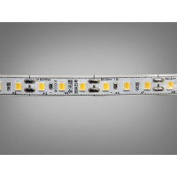 LED стрічка 12В, 120 діодів на метр, 8мм, нейтральний Diasha P12C-2835-120-NW-20-8