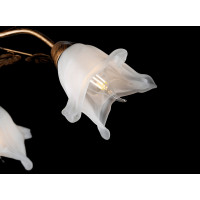 Люстры потолочные с пафоном Splendid-Ray 192364