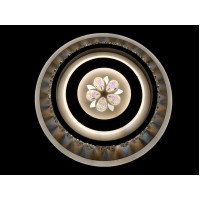 Светильник потолочный светодиодный LED Linisoln 2190