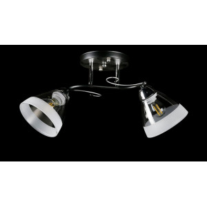 Люстра с плафонами  L8332/2B (BK+CR) Splendid-Ray
234477