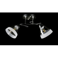 Люстра с плафонами  L8332/2B (BK+CR) Splendid-Ray
234477