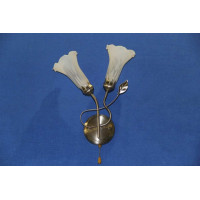 Бра с плафонами В1028/2(A+B)MIX Splendid-Ray
1060887