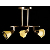 Люстра с плафонами O 20001/3 (FGD+BR) Splendid-Ray
129977 Люстра с плафонами O 20001/3 (FGD+BR) Splendid-Ray
129977